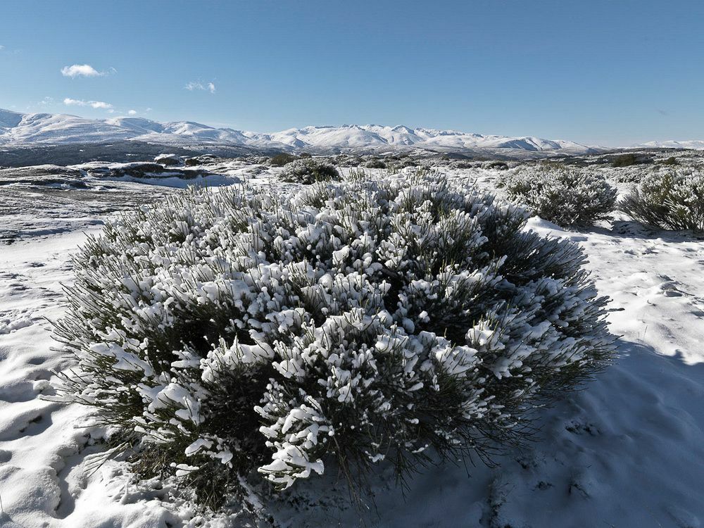 El Cerro - El Cerro I Villa Navarredonda de Gredos Eksteriør bilde